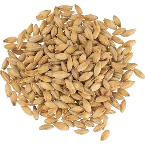 Maris Otter Malt