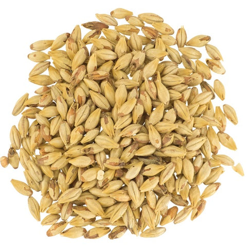 Chateau Biscuit Barley Malt 17°