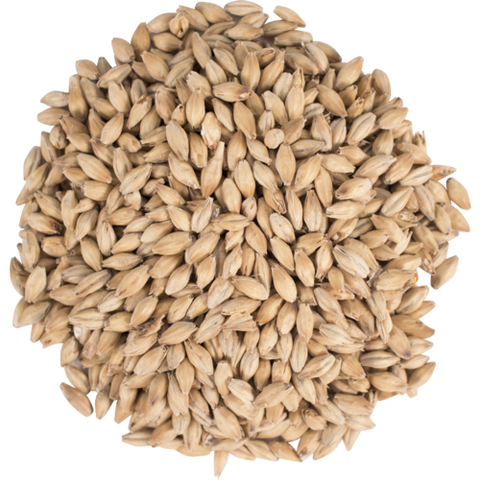 Thomas Fawcett Golden Promise Malt