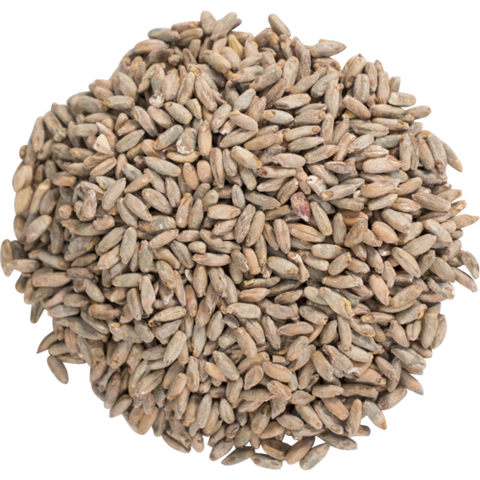 Rye Malt