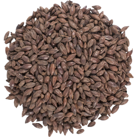 Black Barley 500°L