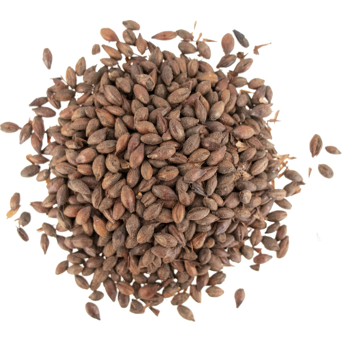 Carafa III De-Husked