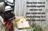 One Gallon Honey Mead Making Refill Kit