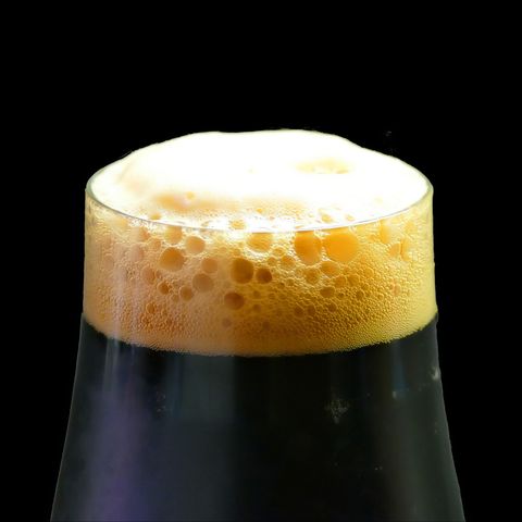 1555 Inspired Black Ale Recipe Kit