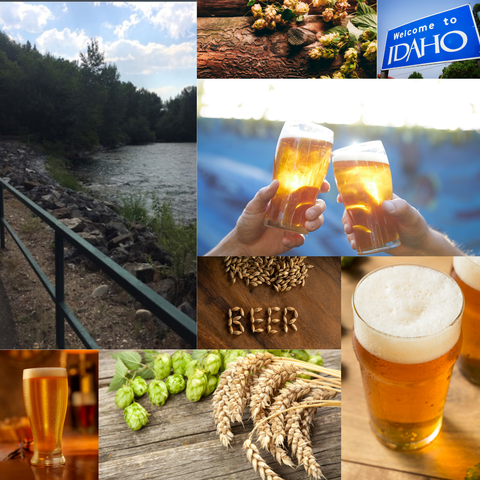 Green Belt Pale Ale Recipe Kit