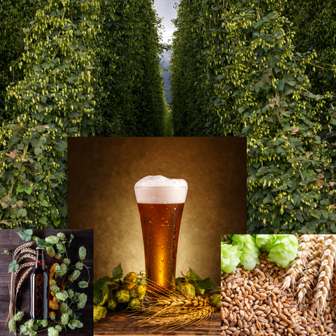 Summit IPA Recipe Kit