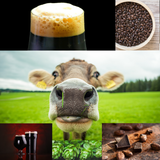 Moo Moo Chocolate Milk Stout Ale Recipe Kit