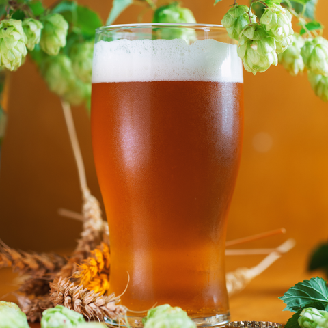 90 Shilling Ale Recipe Kit