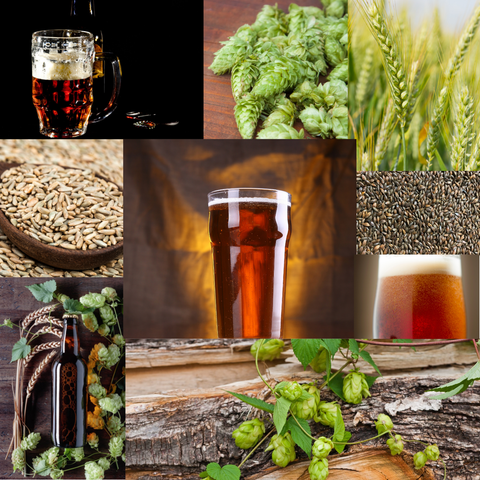 Rye-Rish Red Ale Recipe Kit